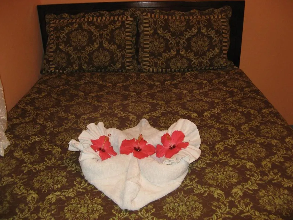 Executive Shaw Park Guest House Ocho Rios 2*,  Jamajka
